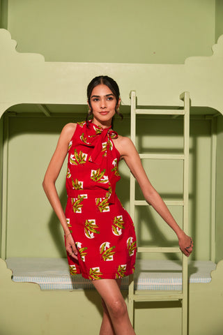 Gulzar Mini Dress