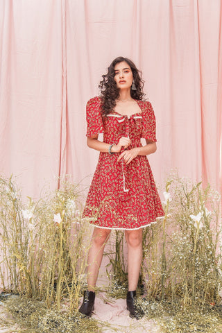 Scarlett Dress (4383270830123)