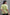 Green Peplum Blouse (1844188250155)