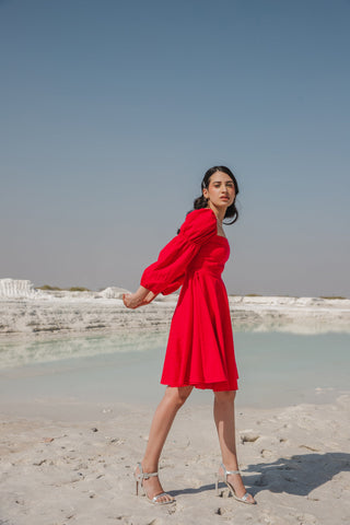 Valentina Mini Dress (6440300576937)