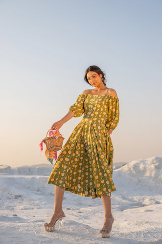 Lillian Flare Dress (6440343077033)