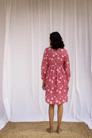 Nirmayi Dress