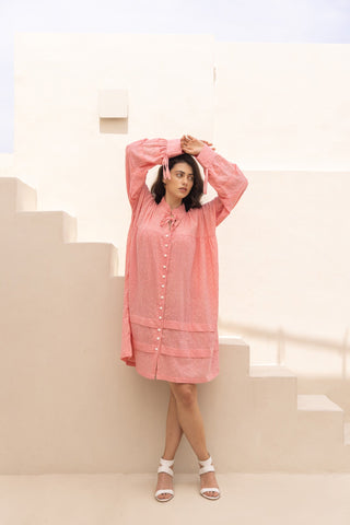 Berrylicious Dress